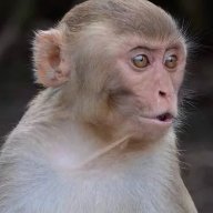 abyagagga