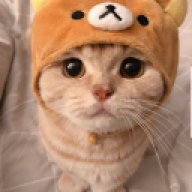 millicent