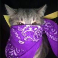 qweqweqwewasdasd1
