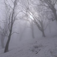 Telnik