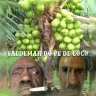 ValdemarDoPeDeCOCO